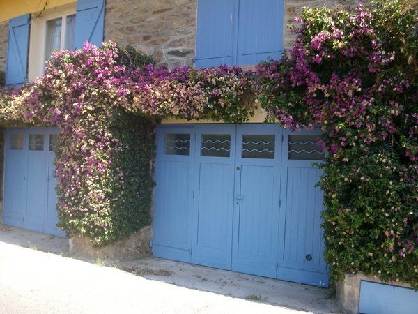 La plante grimpante encadre parfaitement une porte de garage, elle s'accorde à la pierre de Bormes, et devient ainsi un élément architectural.