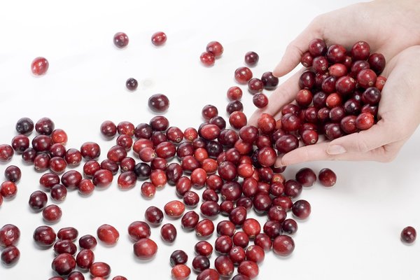 La cranberry est une petite baie rouge venue d’Amérique du Nord. Elle se marie à beaucoup de saveurs, salées ou sucrées.