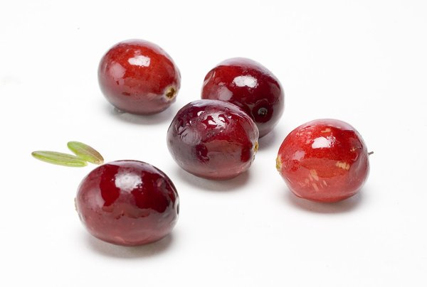 Les cranberries peuvent se déguster fraîches d'octobre à janvier.