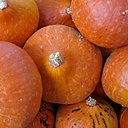 Le potimarron, fruit rond et orange, possède des qualités nutritionnelles, gustatives et curatives indéniables. Riche en vitamines et en minéraux, il se cuisine salé ou sucré.