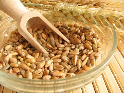 L’épeautre est un grain rustique. Proche du blé, il est plus riche en magnésium, phosphore et vitamines. Cette céréale complète est recommandée pour les troubles intestinaux et les problèmes de sommeil.