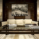 Ultra confidentiel, le VIP room