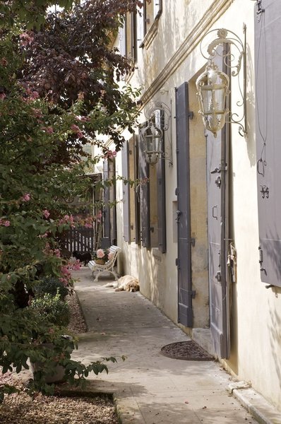 Le jardin veillé par le chien.