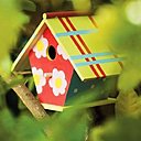 Maison d'oiseau nichée au creux d'un arbre
