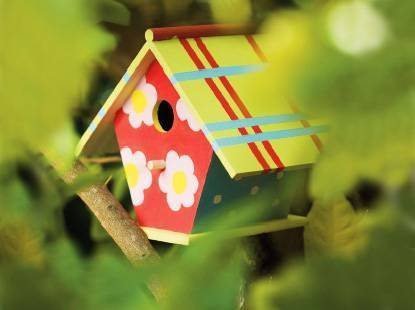 Maison d'oiseau nichée au creux d'un arbre
