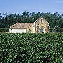 4000 hectares exploités dans le bordelais autour de la chapelle de Tutiac