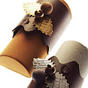 Pour la bûche de votre Noël 2011: mousse de chocolat blanc, crémeux citron vert, dacquoise et nougatine pistache