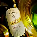 L'Alsace et son fameux Riesling: souvent associé au Munster, il sera encore meilleur dans un juste équilibre avec un petit chèvre tel un Chabichou du Poitou, un cabécou du Périgord ou encore un Picodon