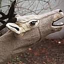 This year my voice broke - Cerf