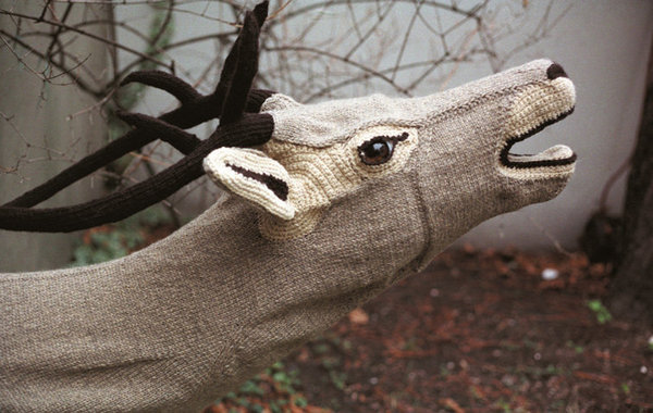 This year my voice broke - Cerf