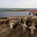 Attentif à la planète, la fromagerie Marty a adopté le solaire sans sa bergerie de Crouzet