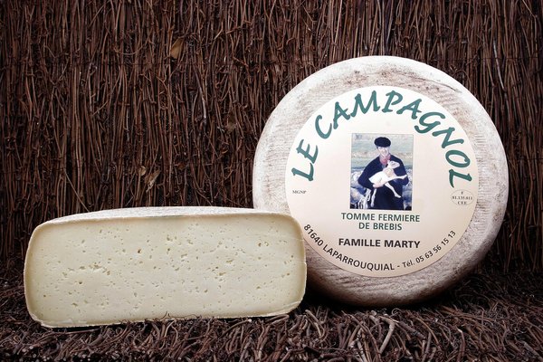 4,5 kilos pour le campagnol qui ressemble à un Pur Brebis des Pyrénées