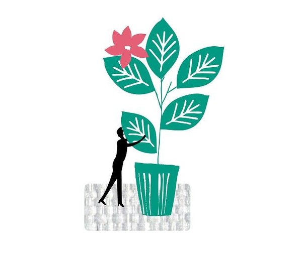 Quand votre plante d'intérieur est l'élue de votre cœur.