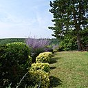 Perchée sur un promontoire la maison domine la vaste forêt de Retz.