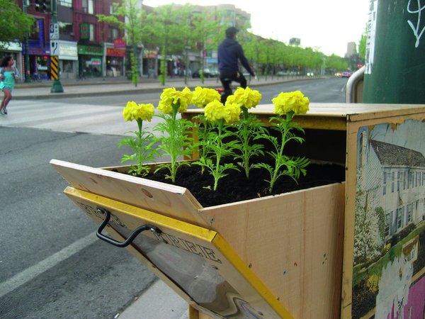 Les canadiens Eric Cheung et Sean Martindale plantent entre les différentes couches d’affiches, mais aussi dans les distributeurs de journaux.