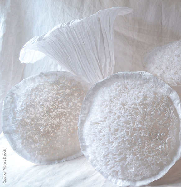 Coeurs de fleurs délicates