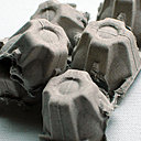 Une simple boîte à oeufs en carton constitue le matériel de base.