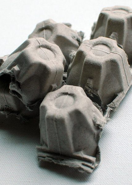 Une simple boîte à oeufs en carton constitue le matériel de base.