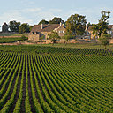 Le domaine classé a été entièrement restauré depuis 2004 par les nouveaux propriétaires