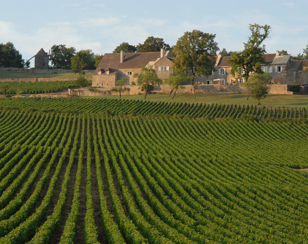 Le domaine classé a été entièrement restauré depuis 2004 par les nouveaux propriétaires