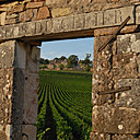 Un beau portique en pierre de Bourgogne ouvre sur le domaine