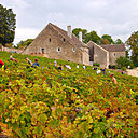 Voici venu le temps des vendanges