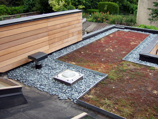 La toiture-terrasse végétalisée accueille des plantes grasses sans entretien. Elle voisine avec les zones stériles en graviers et les différentes ouvertures.
