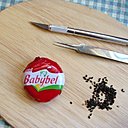 Un Mini Bel,une planche à découper, un cutter à lame fine, une pince à épiler et des graines de pavots.