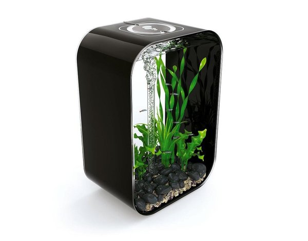 Aquarium Nano Fashion Vision H.Truffaut