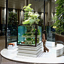 Posidonia, création et évocation d'un écosystème marin, des ateliers de Paul Louis Duranton.