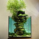 Ile Volcanique Saro, aboutissement d'une recherche esthétique et biologique, écosculpture des ateliers Paul Louis Duranton.