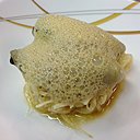 Céleri confit et huître tout juste pochée, à tomber...