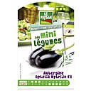 Le Paysan a développé une gamme des semence de mini-légumes