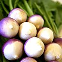 Les mini-navets de Hotgame présentent une jolie forme ronde. Même ses fanes peuvent être consommées