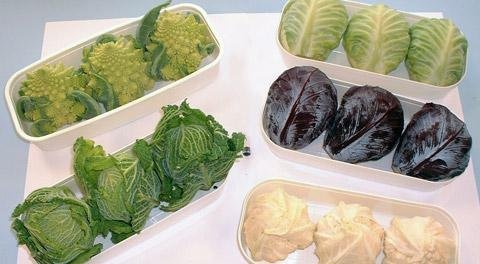 Assortiment de mini-choux de Hotgame