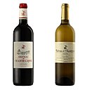 Robe rubis, arômes complexes de fruits mûrs et accents torréfiés pour le Graves rouge château de Chantegrive;  le blanc dans la cuvée Caroline en 2010, arbore quant à lui une une robe dense, dorée, un nez élégant, une bouche aromatique et longue.
