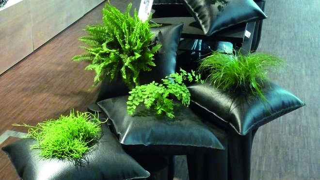 Coussins végétalisés par Alexis Tricoire.