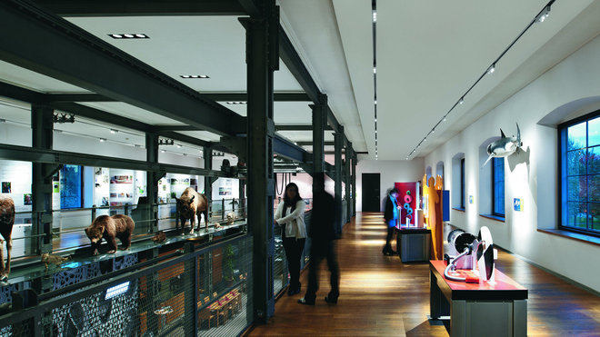 Rampes lumineuses ajustables et spots encastrés pour un éclairage précis, Inatura. Rampes lumineuses ajustables et spots encastrés pour un éclairage précis, Inatura.