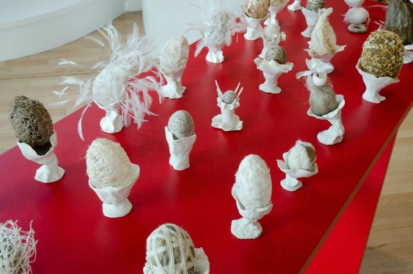 Les oeufs  de Claire Beillard