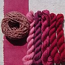Extrait  végétal de cochenille permet de teindre les nuances profondes de fuschia à framboise