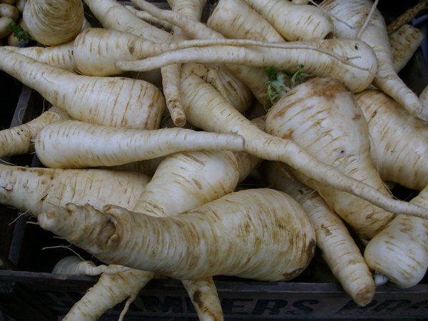 Légume oublié, le panais se distingue de la carotte, par sa racine plus longue et sa couleur blanchâtre.