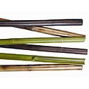 Branches de bambou peintes et décoratives, 45 € l’unité chez Trousselier.