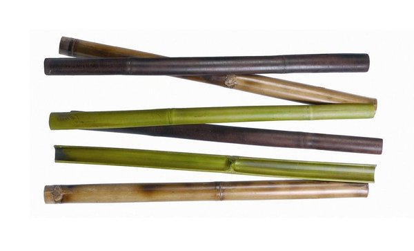 Branches de bambou peintes et décoratives, 45 € l’unité chez Trousselier.