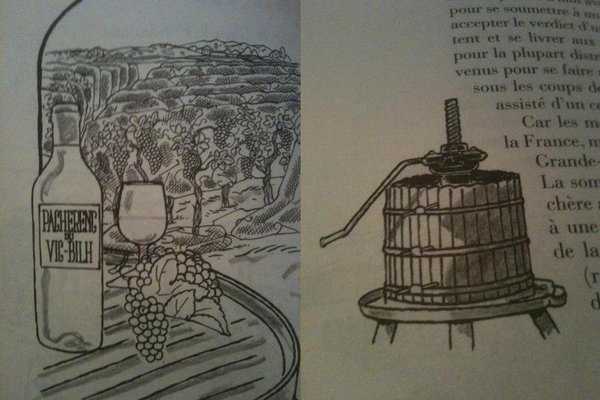 Illustré avec talent, l'histoire du pacherenc du Vic-Bilh donnera l'envie d'être gascon.