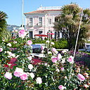 A la mémoire de la Baronne Béatrice de Rothschild, la roseraie sera refleurie par Delbard et l’une des roses sera choisie et baptisé pour ses qualités de résistance et de parfum.