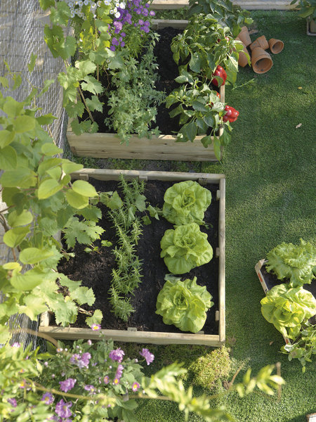 Carré potager en pin pour avoir le plaisir de cultiver ses salades et herbes aromatiques.
