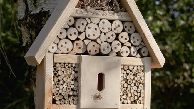 Abri à insectes Neudorff en pin.