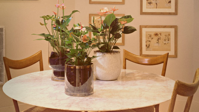 Trois anthuriums, dans des pots transparents, égayent la table en marbre blanc, entourée de chaises danoises en bois clair. Le miroir vénitien mercurisé et l’accumulation d’herbiers encadrés ajoutent une touche rétro à la pièce.