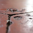 Les tomettes, poreuses, finissent invariablement par s'user. Après un bon nettoyage, les brèches se rebouchent facilement, à l'aide de terre cuite réduite en poudre et de colle époxyde. Il est également possible de changer les carreaux trop abîmés.