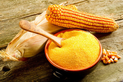 Avec sa couleur jaune doré, le maïs apporte de l'éclat à un plat. Son goût légèrement sucré peut être accentué, en le caramélisant, pour un plat en version sucré/salé.